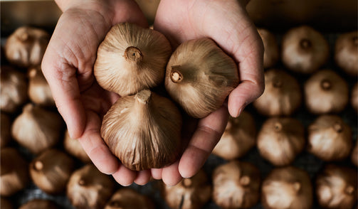 黒にんにくの製造